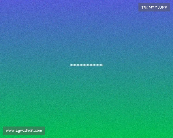 斯图加特与阿森纳就法比奥维埃拉转会事宜展开接触